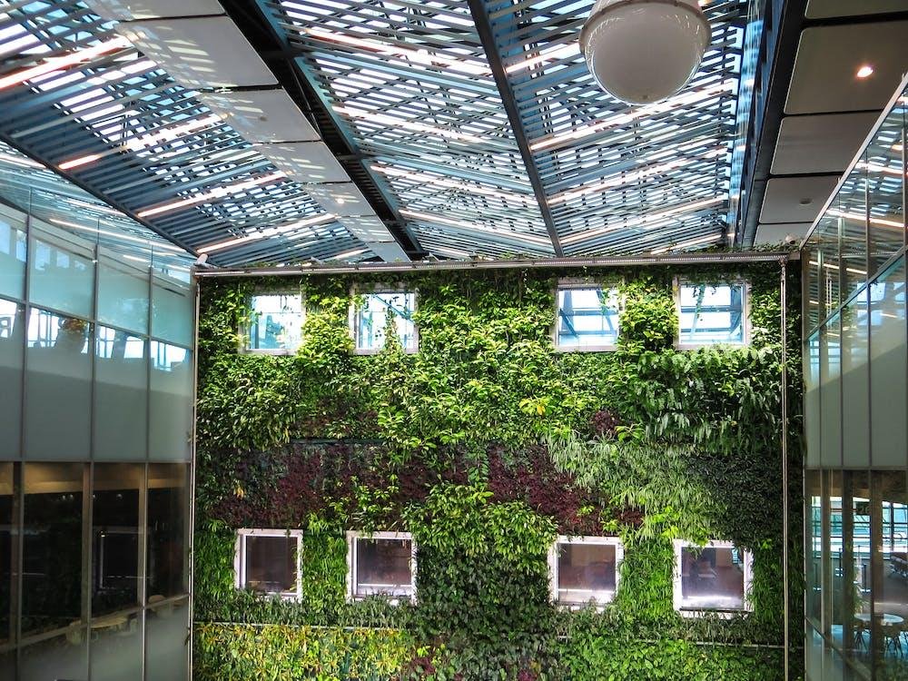 Hidden Benefits of Green Design in Construction